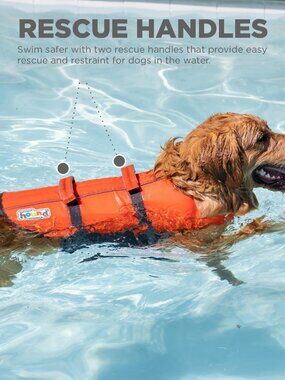 Outward hound dog life jacket life vest medium